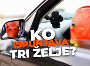 MISTERIOZNI JUNAK, HITOVI ANE NIKOLIĆ, BOMBONE I NEOBIČNA MASKA On je nova senzacija na društvenim mrežama u Srbiji, zove se Zlatnoribac, a mi smo ga "upecali" na "radnom mestu" (VIDEO)