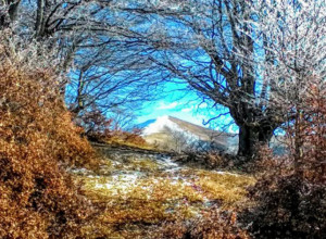 Ova misterija iz Srbije ledi krv u žilama: Legenda o tome kako je planina Besna kobila dobila ime