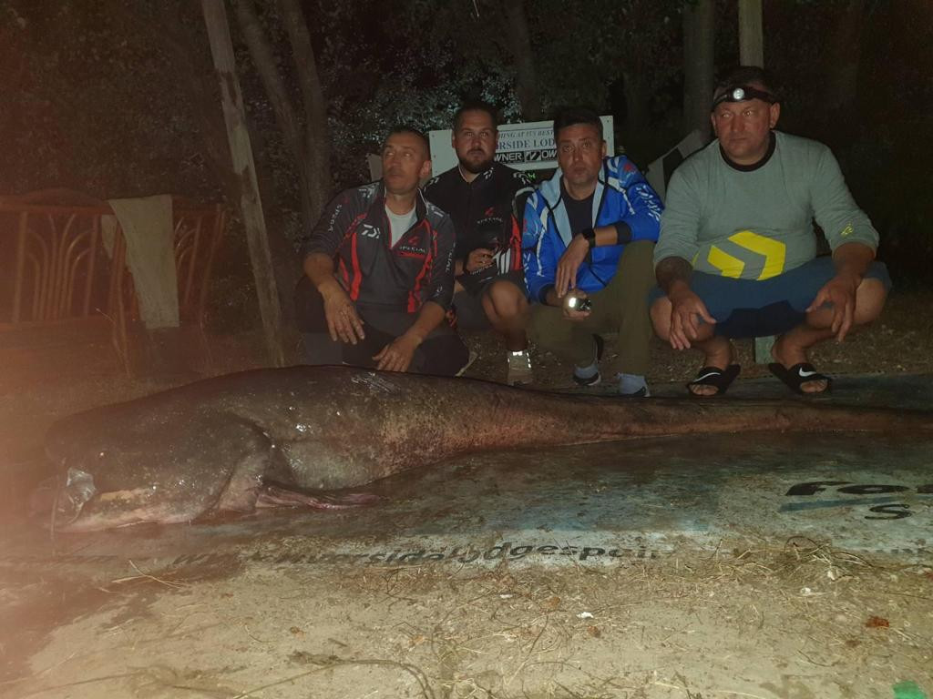 BORBA SA NEMANI TRAJALA SAT VREMENA Željko iz vode jedva izvukao soma teškog 105 kilograma i dugog preko dva metra