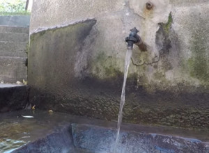 IZVOR “VODICE GDE VRADŽBINOM TRAŽE LEKA“ Dolazak je bio predviđen “lađom od Savskog pristaništa“