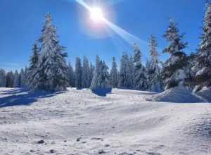 MEŠTANI NAVIKLI NA SUROVE USLOVE I KUPUJU NAMIRNICE MESECIMA UNAPRED Na srpskoj planini još uvek ima snega za izvoz a sudeći po količini zadržaće se sve do Đurđevdana