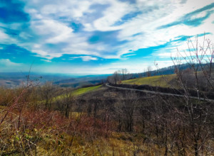 ŠUMADIJSKI BISERI Planine bogate kulturom, lekovitim biljem i istorijom koje morate posetiti