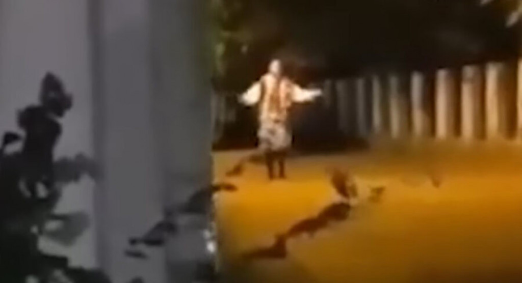 Misteriozna žena sa Zvezdare koja igra u narodnoj nošnji NOĆU postala viralna na mrežama: Milioni ljudi širom sveta su prestravljeni