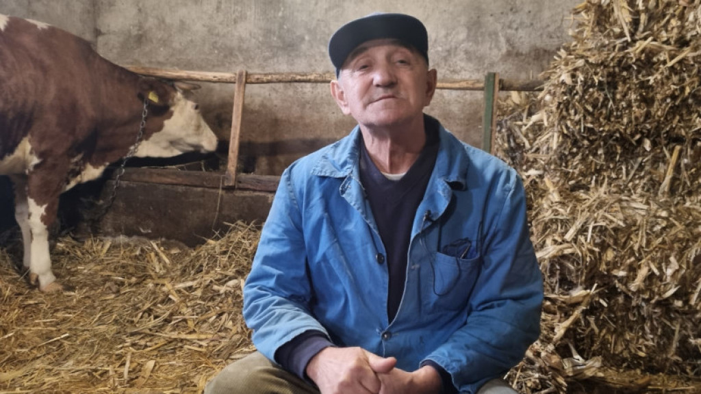 NJIHOV SIR I KAJMAK OBILAZI SRBIJU Miloljub iz sela Gornja Gorevnica kod Čačka drži porodicu na okupu i bave se preradom mleka