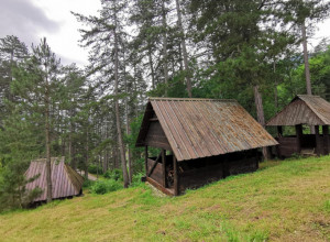 OVA SRPSKA PLANINA JE RAJ ZA ALERGIČNE OSOBE! Ima manju koncentraciju polena AMBROZIJE, u gradovima ovu biljku kose