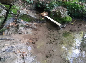 SVETA VODA SA RAVNE GORE POMAŽE SLEPIMA: Izvor blizu sela gde su se jedini put oči u oči sreli Tito i Draža