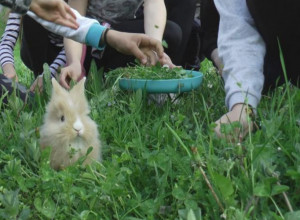 Traže detelinu sa četiri lista, a tako ukrašeno jaje biće njihova amajlija čitave godine