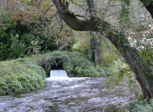 Srbija ima najkraću reku u Evropi! Evo gde se nalazi i zašto je nazivaju Godinom, a ima i vodopad