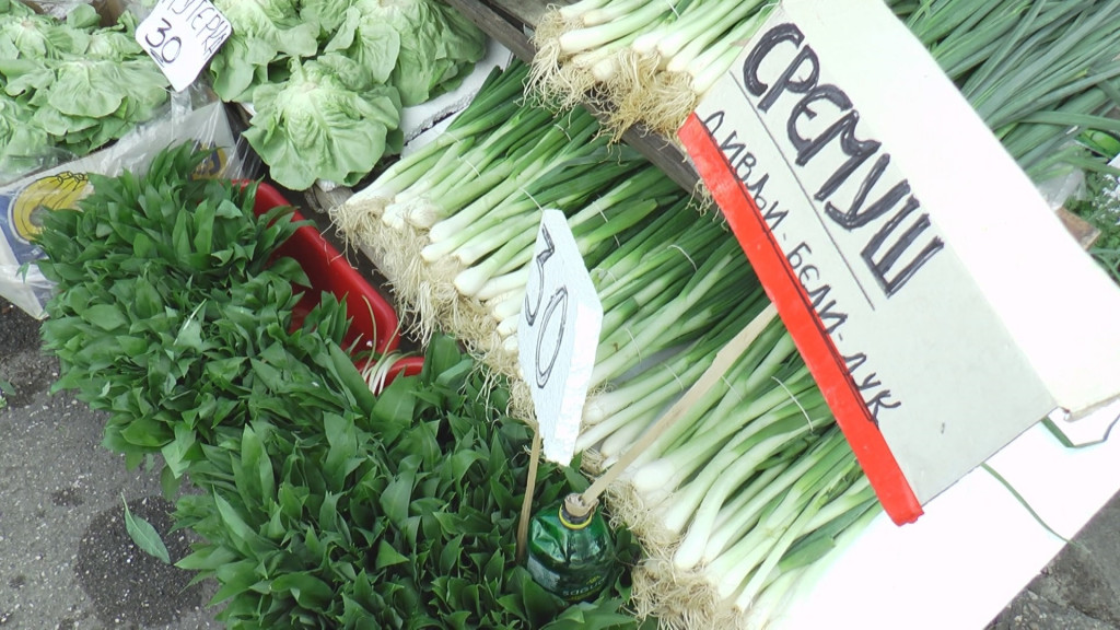 Divlja samonikla biljka "diže iz mrtvih" i leči mnoge bolesti: POČELA SEZONA SREMUŠA, medvedi ga prvo potraže kad se probude iz zimskog sna (FOTO)