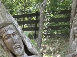 MISTERIOZNO MESTO U SRBIJI! OVDE DRVEĆE RASTE NA NEVEROVATAN NAČIN: Postoji neka neobična drevna energija, a to nije sve (FOTO/VIDEO)