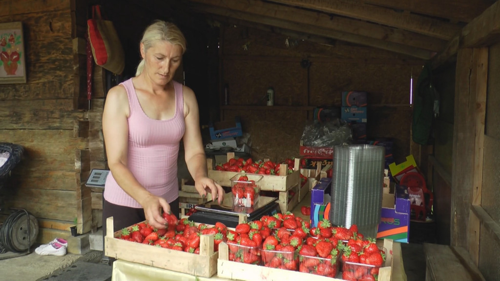 DOMAĆE JAGODE STIGLE I NA BEOGRADSKE PIJACE: Evo kolika je cena po kilogramu