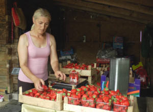 DOMAĆE JAGODE STIGLE I NA BEOGRADSKE PIJACE: Evo kolika je cena po kilogramu