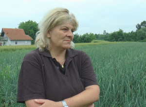 Porodica Dukanac iz sela Viljuša godina se bavi uzgojem ovog povrća, sve što se nabere to se proda