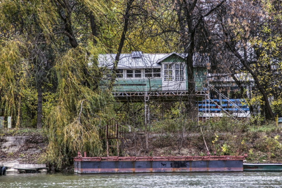 REČNO OSTRVO NA GRANICI NOVOG BEOGRADA I ČUKARICE: Adu Međicu krase prirodne lepote i specifičan šarm (VIDEO)