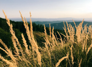NAZIV PO JUNAKU: Planina u Kanadi nosi ime čuvenog Srbina