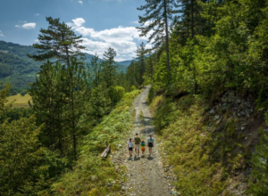 Banja na padinama najpoznatije srpske planine: Poznata po izuzetno lekovitoj i toploj vodi