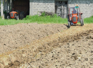 OD DRŽAVE SE OVO DOBIJA BESPLATNO: Obezbeđeno čak 125 miliona dinara, evo koji je krajnji rok za prijavu i ko ima pravo