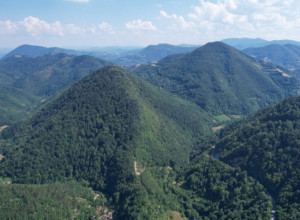FANTASTIČAN PRIZOR Stotine planinara krenulo u akciju od Dobrača do Brekova, u prirodnim lepotama Srbije uživaju i stari i mladi!