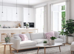 OVO NISTE ZNALI Svi imamo pravo BLAGO u domovima, pogledajte o čemu je reč i kako ga sve možete koristiti!