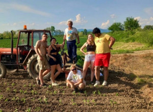 POKLANJAJU PAPRIKU KOJU NE MOGU DA PRODAJU Do sada besplatno dali skoro 500 kilograma - ajvar za te ljude i neće biti tako skup