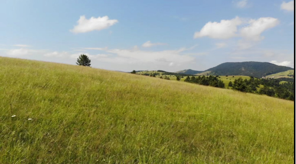 NEVEROVATNE PRIRODNE LEPOTE Evo zašto su i kraljevi dolazili na Zlatibor (FOTO)