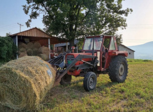 SVI NAVALILI DA KUPE ZEMLJU U OVOM SRPSKOM SELU: Placevi se prodaju "kao alva", mesto izgleda KAO IZ BAJKE (FOTO)