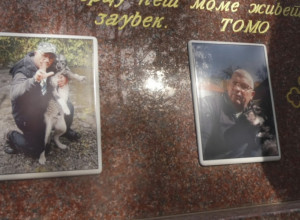 Zašto me ostavi prijatelju, život si mi ulepšao: Potresna i nesvakidašnja priča o prijateljstvu čoveka i psa