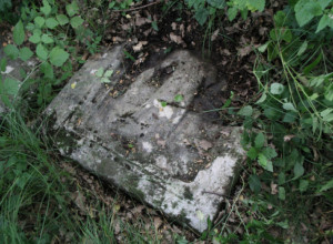 Rimsko groblje nasred livade kod Požege: Arheološka riznica u Visibabi, do sada registrovano 29 spomenika
