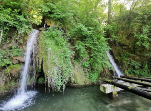 Ovo je najpopularnije srpsko selo tokom posta FOTO