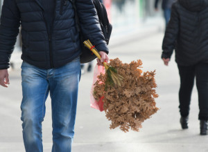 ODGOVOR KOJI MNOGE ZANIMA Da li znate zašto se za Božić pali badnjak?