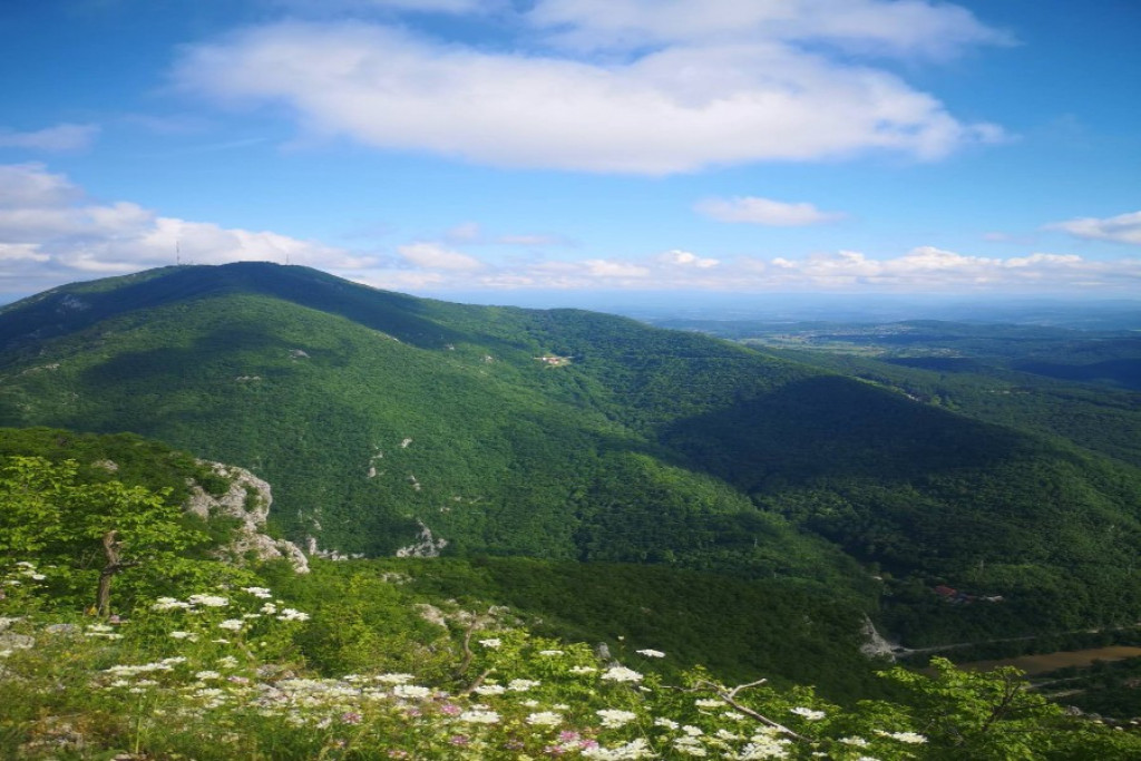 MOĆ POZITIVNOG RAZMIŠLJANJA Ove motivacione izreke će vam pomoći na putu ka duhovnom miru i uspehu!