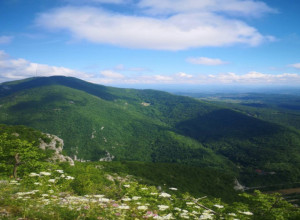 MOĆ POZITIVNOG RAZMIŠLJANJA Ove motivacione izreke će vam pomoći na putu ka duhovnom miru i uspehu!