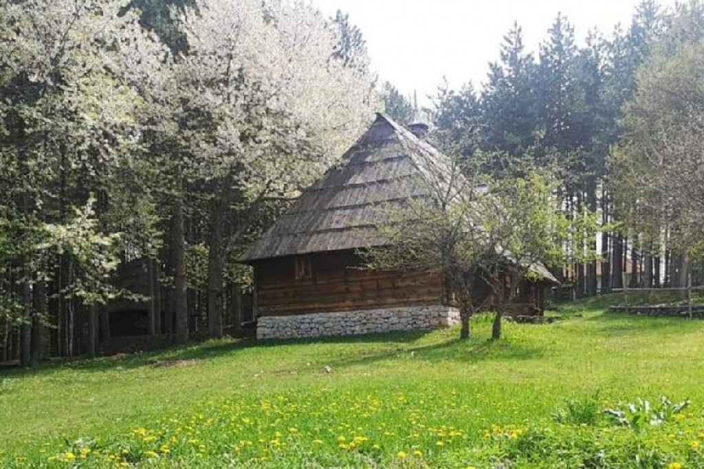 NEVEROVATNE CENE NA ZLATIBORU: Kafa 150, a porodični ručak za svega 2.000 dinara, Olgica se oduševila cenama i uslugom (FOTO)