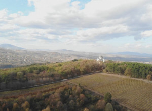 Zlatna sablja sa brilijantima i rubinima, svete ikone sa Hilandara: Jedinstveni muzej na Oplencu čuva srpsku istoriju, to je bila druga kuća kralja Petra Karađorđevića (FOTO)