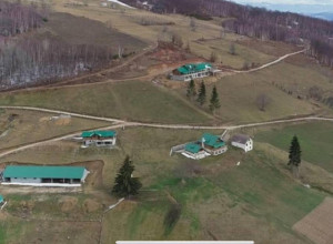 Vesko iz Amerike našao porodicu kojoj će dati svoje imanje i platu od 700 evra, ko kaže da Crnogorci ne vole da rade