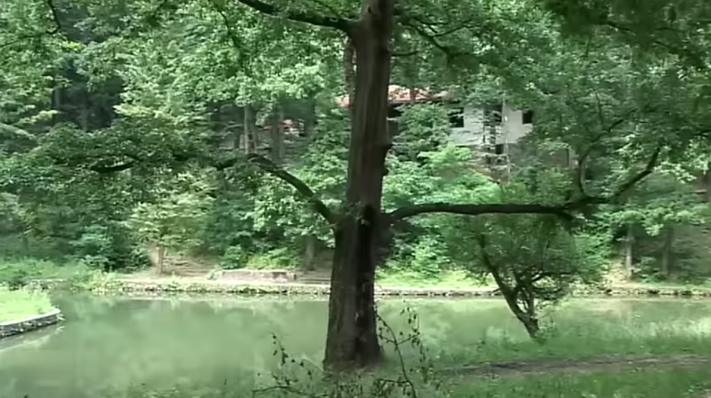 NEKADA LUKSUZNO KUPALIŠTE, A DANAS ZAPUŠTENA OAZA: Skriveni biser nadomak Beograda koji je ovekovečen na filmu! (VIDEO)