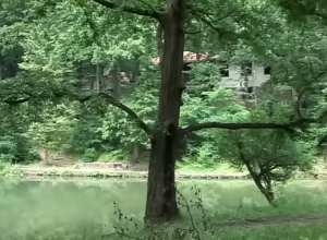 NEKADA LUKSUZNO KUPALIŠTE, A DANAS ZAPUŠTENA OAZA: Skriveni biser nadomak Beograda koji je ovekovečen na filmu! (VIDEO)