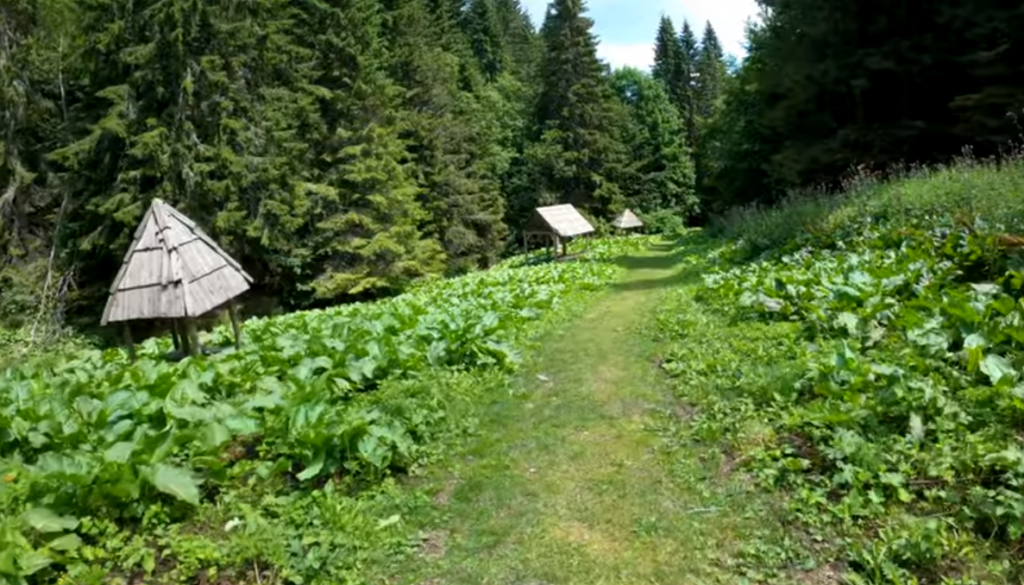 KAD KRENETE NA KOPAONIK, OVO MESTO NE SMETE DA PRESKOČITE: Srpsko svetilište čija se voda smatra najlekovitijom! (VIDEO)