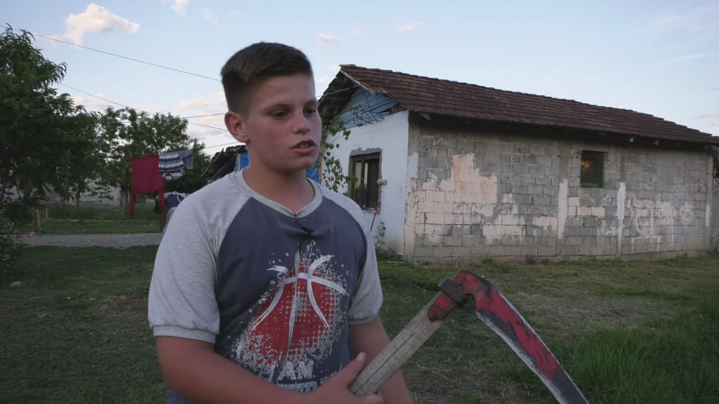 DEČAK KOGA ŽIVOT NIJE MAZIO Radoje ima samo 12 godina, živi sa bakom i sve radi na selu (FOTO)
