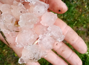 Svaki plod je razlupan i na zemlji, ovo se ne pamti: Strašno nevreme pogodilo Zapadnu Srbiju, grad veličine oraha uništio maline u mnogim selima