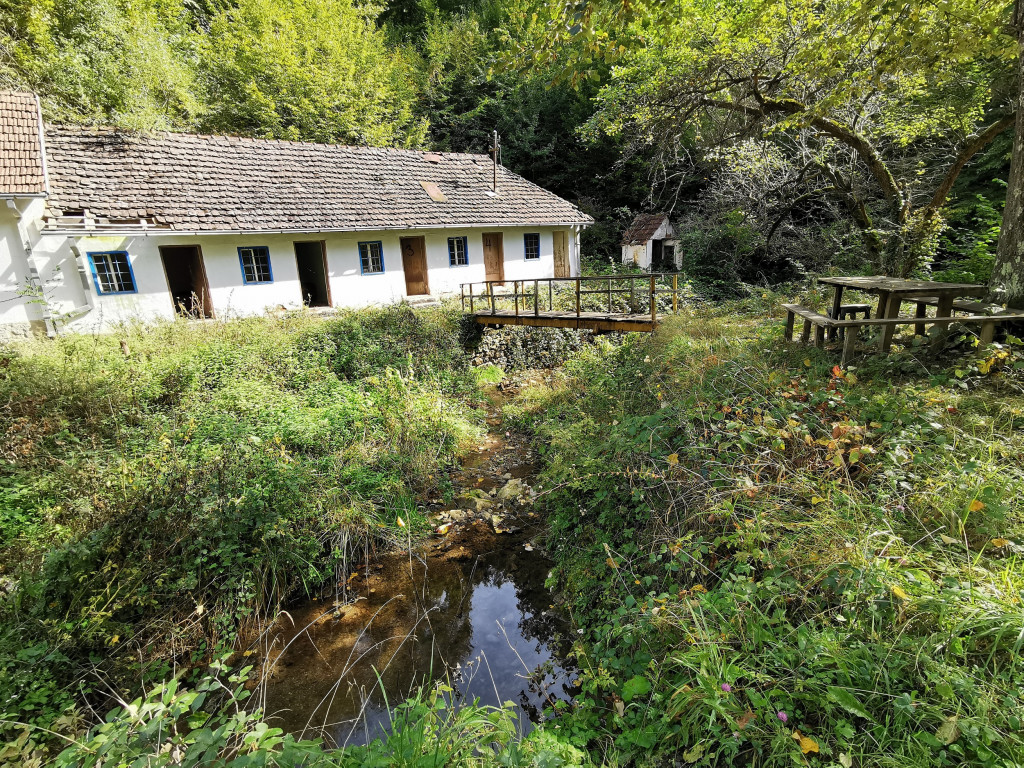 Srpska lekovita banja sakrivena usred šume: U Rošku banju kod Požege dolazili u kolicima, mineralni izvori i sada teku (FOTO)