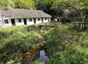 Srpska lekovita banja sakrivena usred šume: U Rošku banju kod Požege dolazili u kolicima, mineralni izvori i sada teku (FOTO)