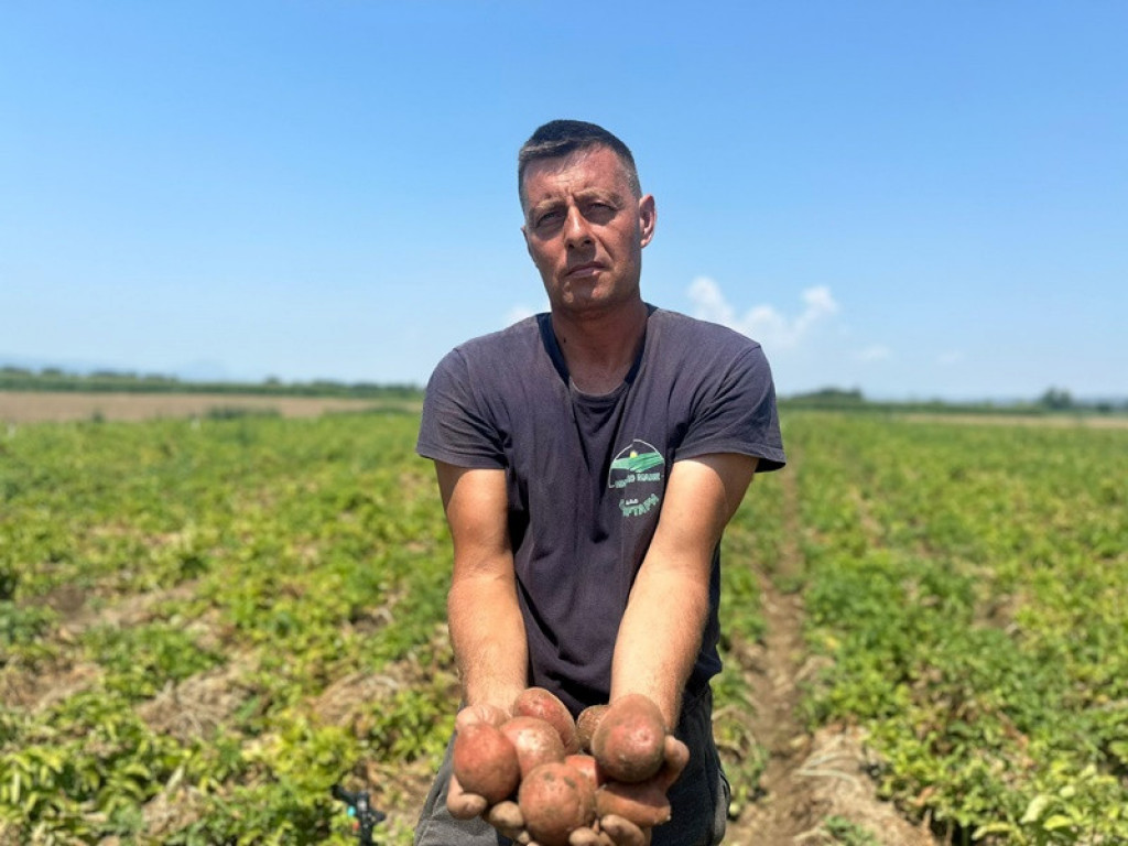 KAKVA BI TO BILA TUGA Dejan na 10 hektara posadio krompir, ali maleni insekt preti sve da uništi