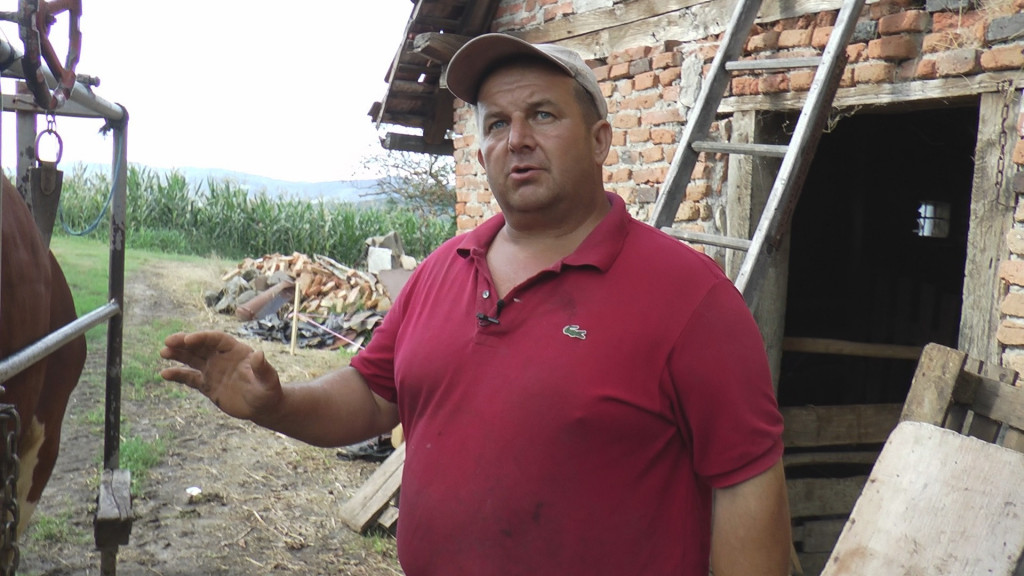 On je kozmetičar za krave, kad „udari“ pedikir za Cvetulju i Šarulju nema zime: Bata Piroćanac u štali čini čuda, spasava stoku od velikog bola – jednom sređeno kod Bate znači zauvek sređeno