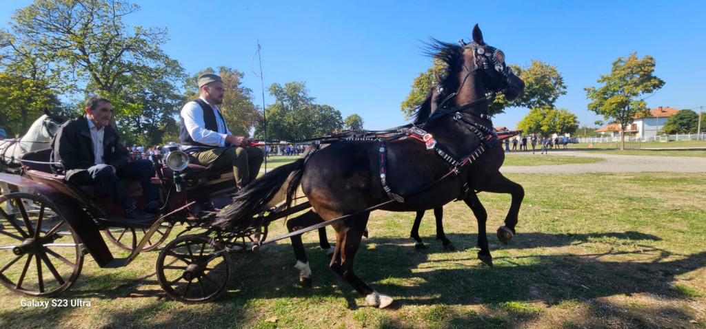 KONJIČKI SABOR Trinaestogodišnja Natalija jedan je od najmlađih džokeja u Svilajncu (FOTO)