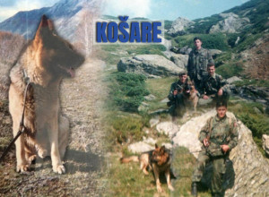 I PSI SU POLAGALI SVOJE ŽIVOTE NA KOŠARAMA: Crnog su IZREŠETALI pijani rezervisti, Lister je zacvileo na Vaskrs