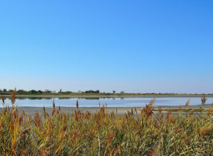 Ova banja u Srbiji ima najlekovitije blato: Cena smeštaja sa doručkom je baš smešna