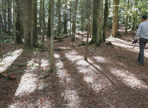 JEDNA OD NAJLEPŠIH Srpska planina koju i Đoković obožava krije neverovatne bisere prirode