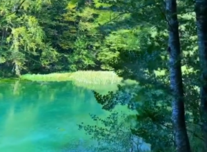 Oaza mira, lepote i prirodnog bogatstva u srcu Srbije: Skriveno izletište idealno je za vikend odmor (VIDEO)