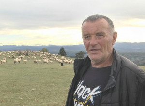 Ovcama morali da vade pasoš zbog pogranične policije: Lukići sa Jabuke imaju stado preko 600 grla krupne stoke, Milenkovi unuci jedina deca u seoskoj školi koju čuvaju od zatvaranja
